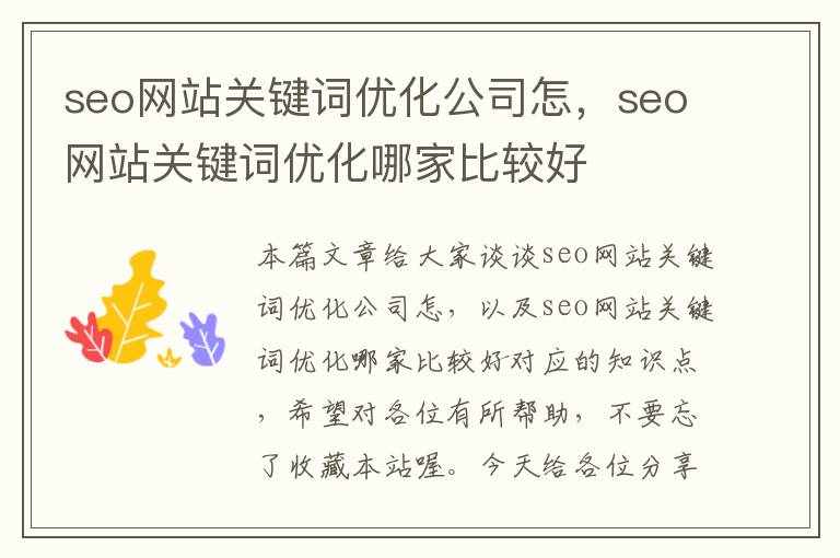 seo网站关键词优化公司怎，seo网站关键词优化哪家比较好