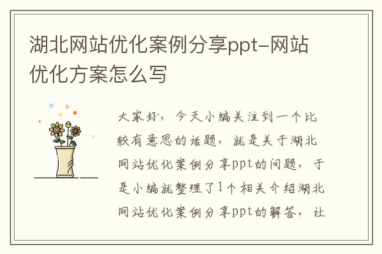 湖北网站优化案例分享ppt-网站优化方案怎么写