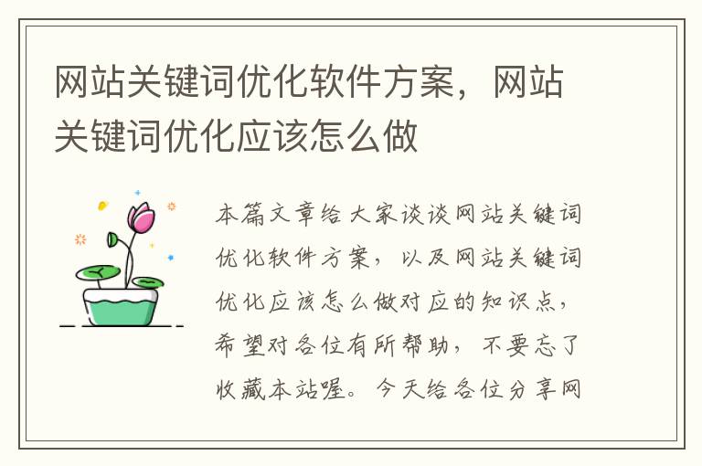 网站关键词优化软件方案，网站关键词优化应该怎么做