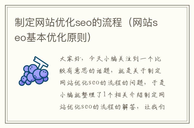 制定网站优化seo的流程（网站seo基本优化原则）