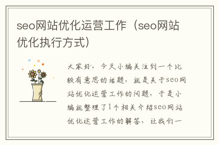 seo网站优化运营工作（seo网站优化执行方式）