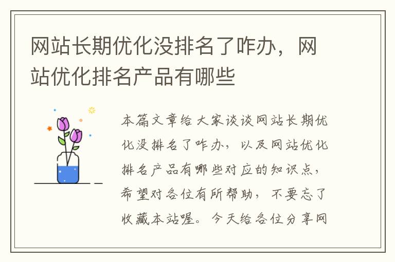 网站长期优化没排名了咋办，网站优化排名产品有哪些