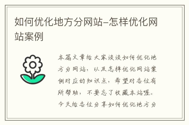 如何优化地方分网站-怎样优化网站案例