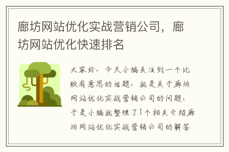 廊坊网站优化实战营销公司，廊坊网站优化快速排名