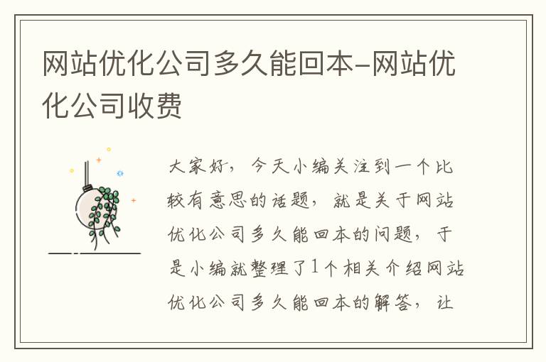 网站优化公司多久能回本-网站优化公司收费