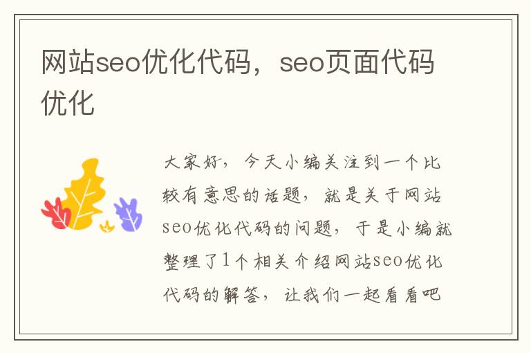 网站seo优化代码，seo页面代码优化