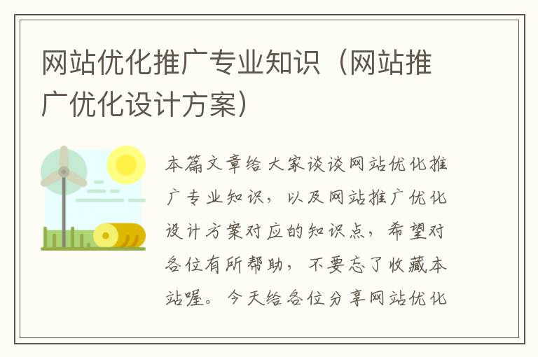 网站优化推广专业知识（网站推广优化设计方案）