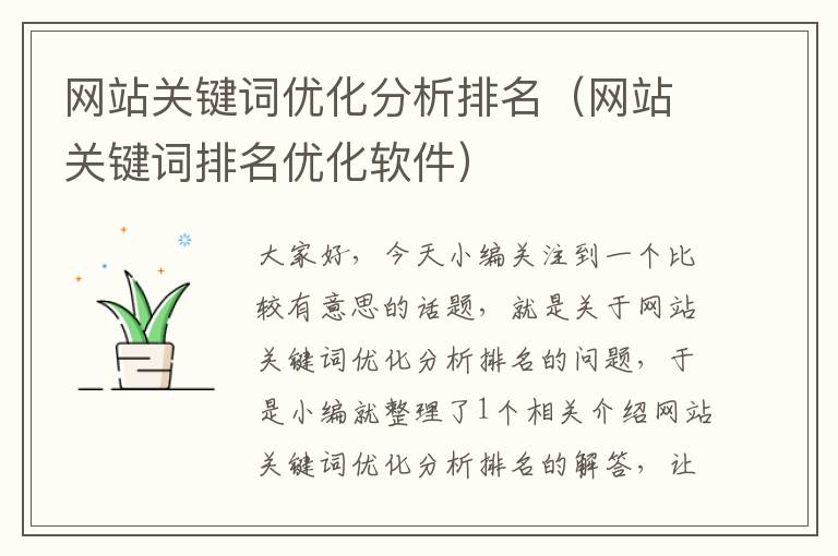 网站关键词优化分析排名（网站关键词排名优化软件）