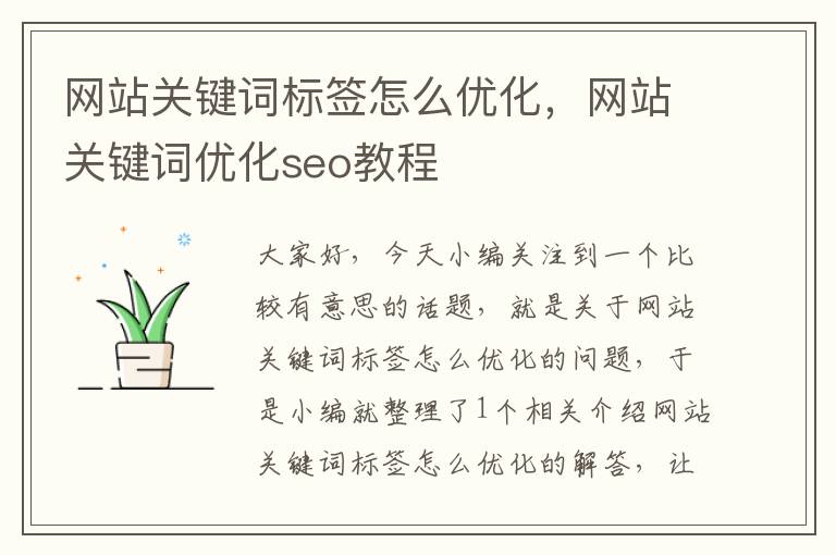 网站关键词标签怎么优化，网站关键词优化seo教程