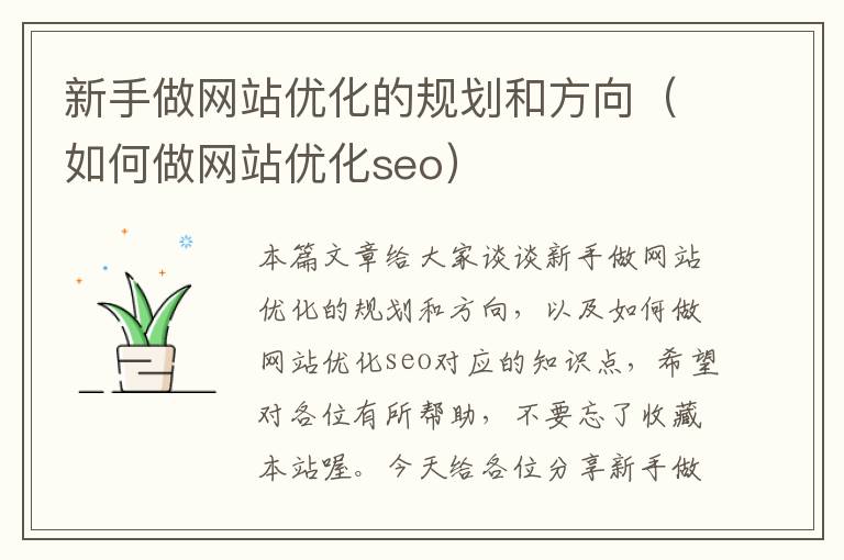 新手做网站优化的规划和方向（如何做网站优化seo）