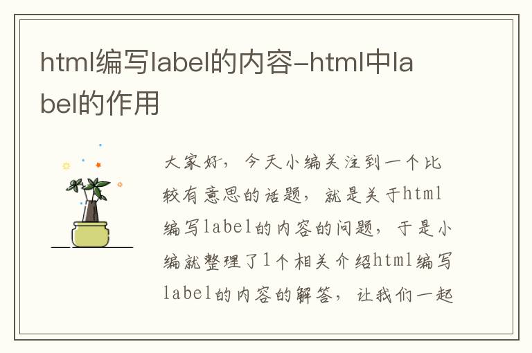 html编写label的内容-html中label的作用