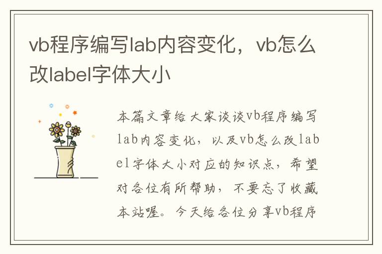 vb程序编写lab内容变化，vb怎么改label字体大小