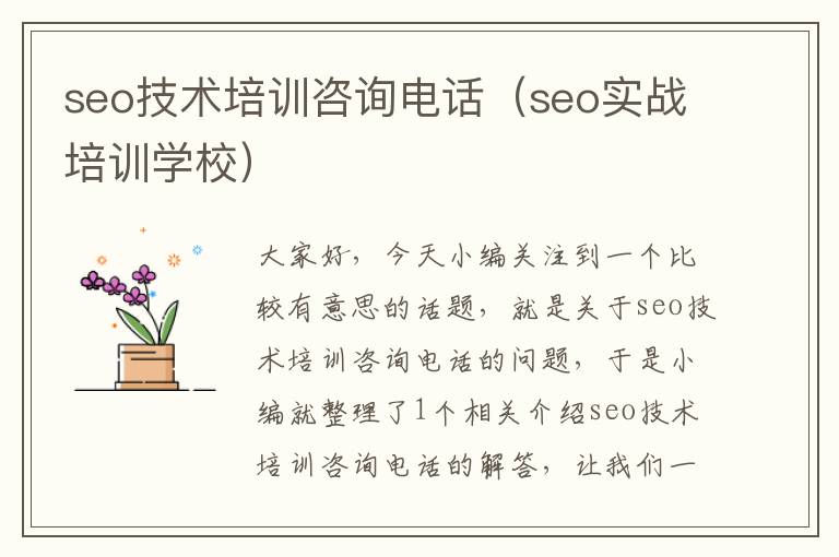 seo技术培训咨询电话（seo实战培训学校）