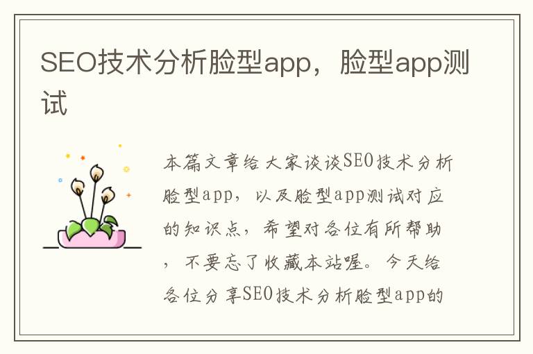 SEO技术分析脸型app，脸型app测试