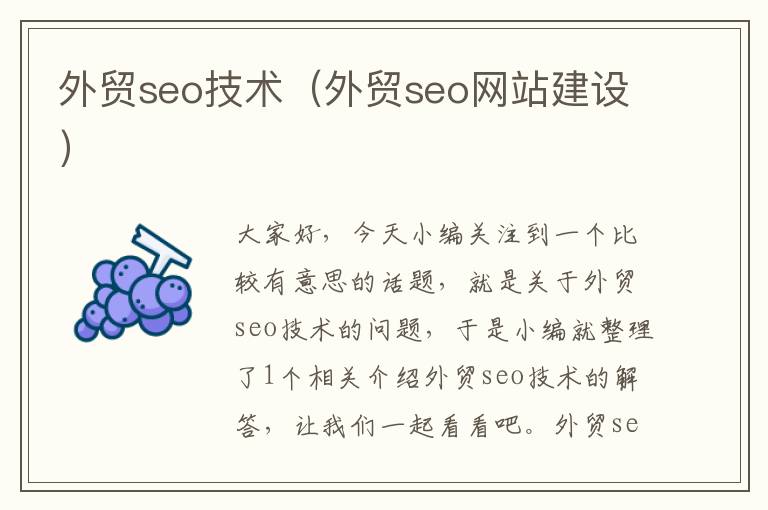 外贸seo技术（外贸seo网站建设）