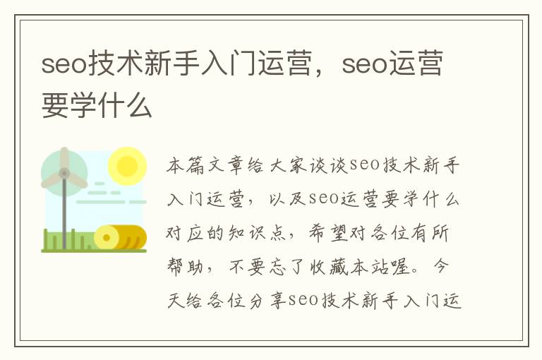 seo技术新手入门运营，seo运营要学什么