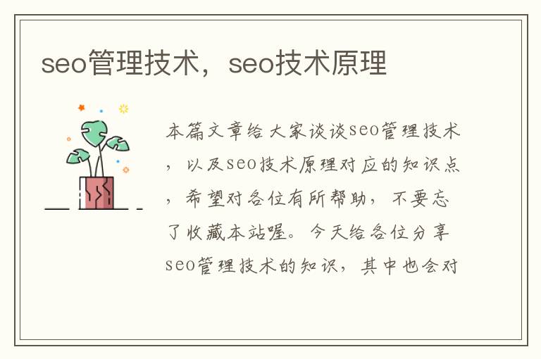 seo管理技术，seo技术原理