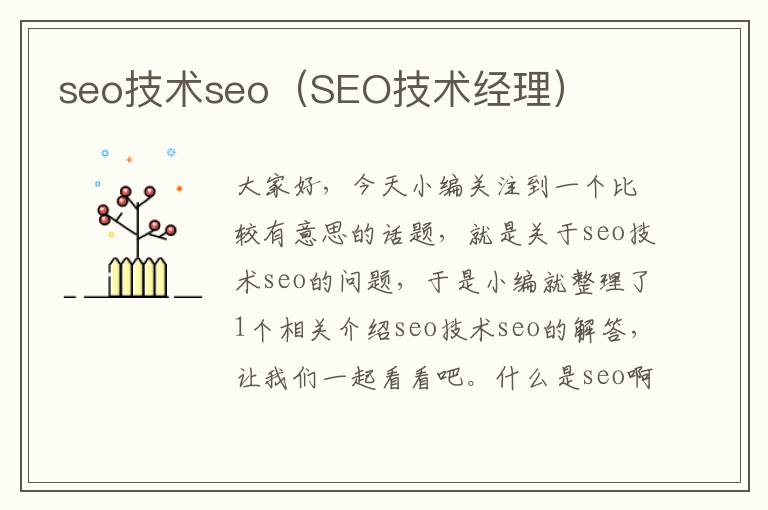 seo技术seo（SEO技术经理）