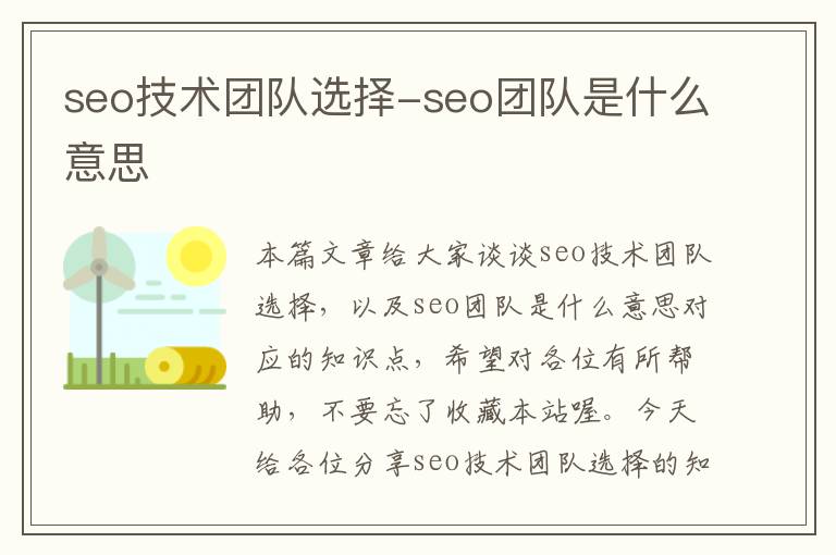 seo技术团队选择-seo团队是什么意思