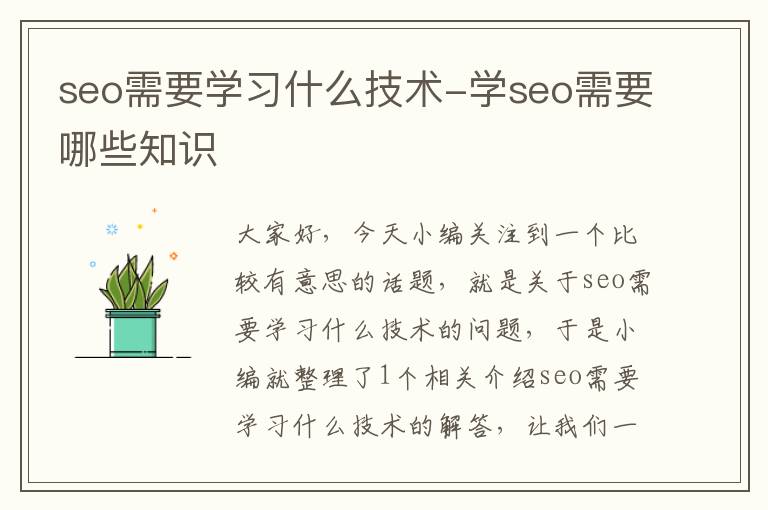 seo需要学习什么技术-学seo需要哪些知识