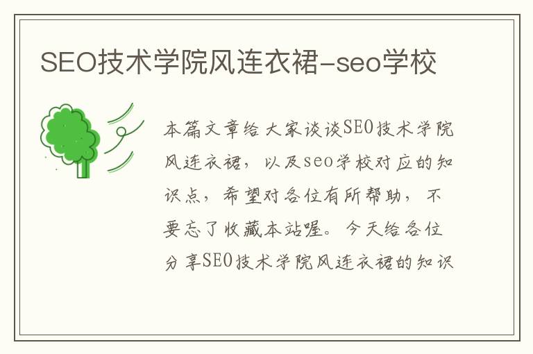 SEO技术学院风连衣裙-seo学校