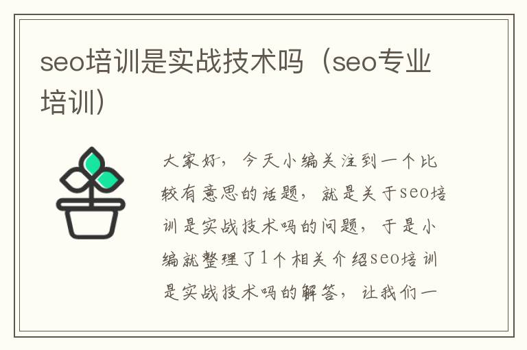 seo培训是实战技术吗（seo专业培训）