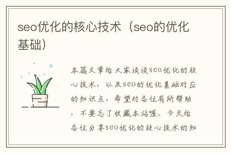 seo优化的核心技术（seo的优化基础）