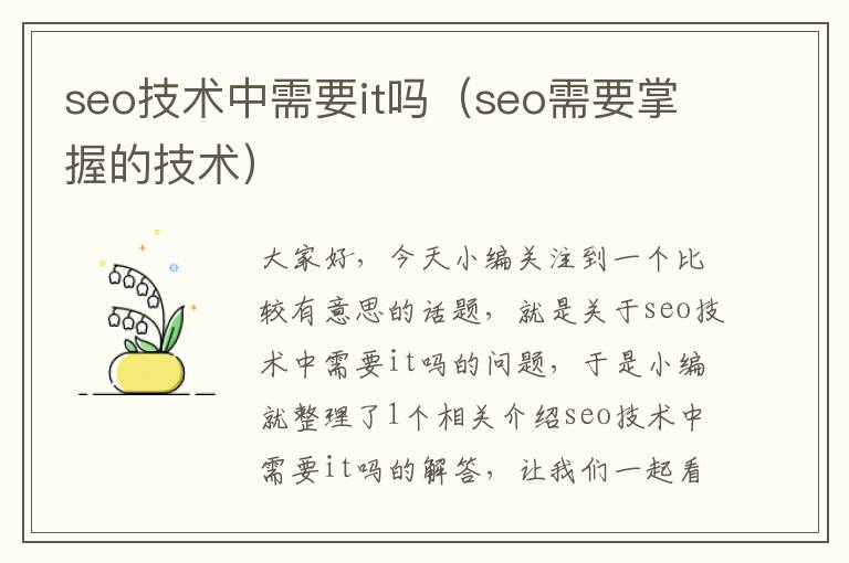 seo技术中需要it吗（seo需要掌握的技术）