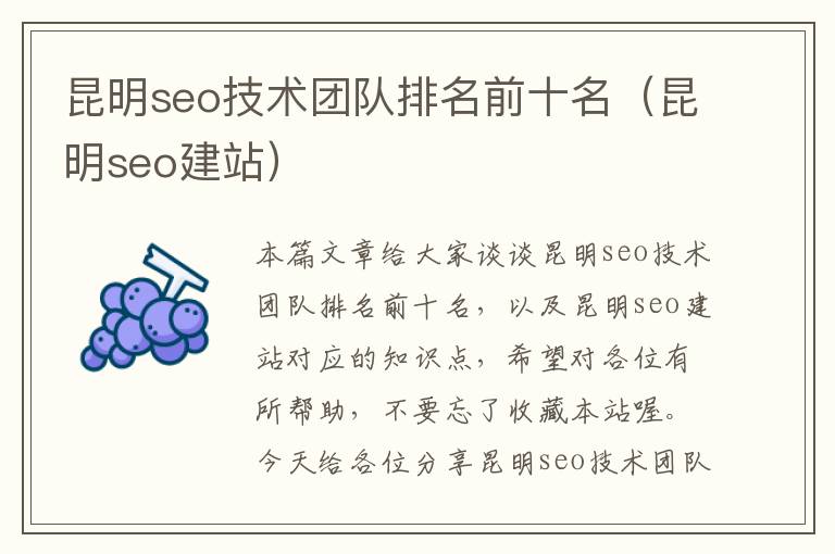 昆明seo技术团队排名前十名（昆明seo建站）