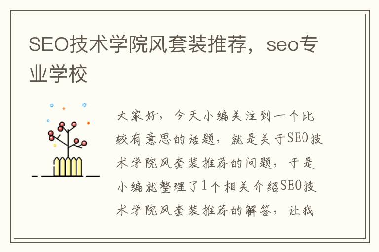 SEO技术学院风套装推荐，seo专业学校