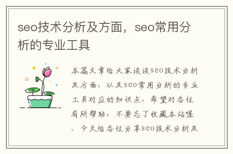 seo技术分析及方面，seo常用分析的专业工具