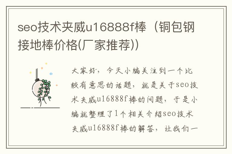 seo技术夹威u16888f棒（铜包钢接地棒价格(厂家推荐)）