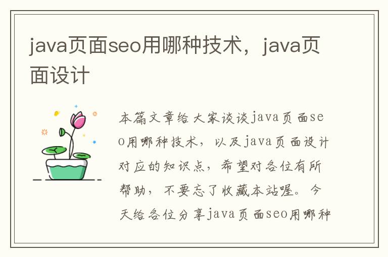 java页面seo用哪种技术，java页面设计