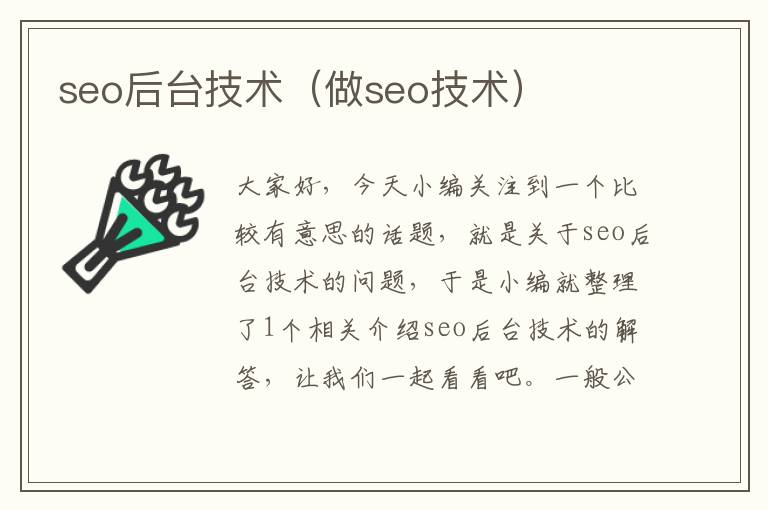 seo后台技术（做seo技术）