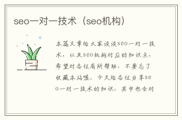 seo一对一技术（seo机构）