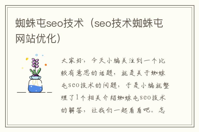 蜘蛛屯seo技术（seo技术蜘蛛屯网站优化）