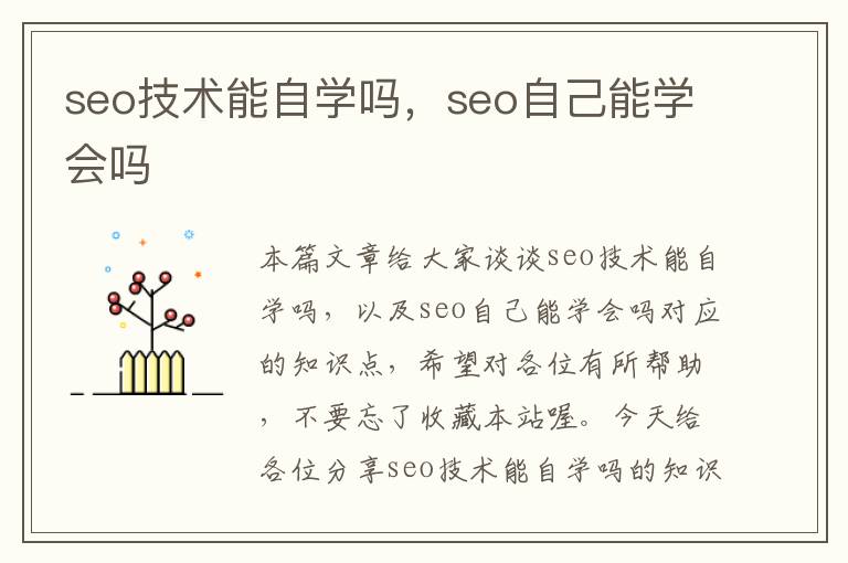 seo技术能自学吗，seo自己能学会吗