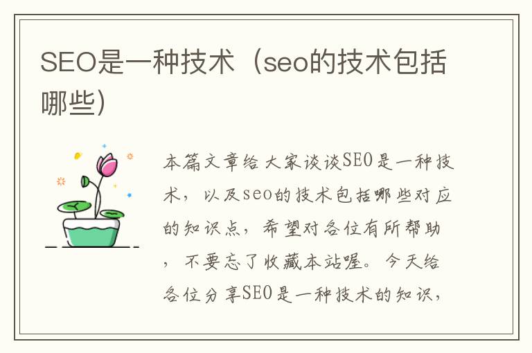 SEO是一种技术（seo的技术包括哪些）