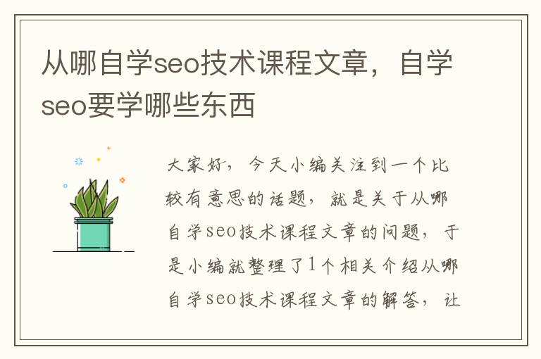 从哪自学seo技术课程文章，自学seo要学哪些东西