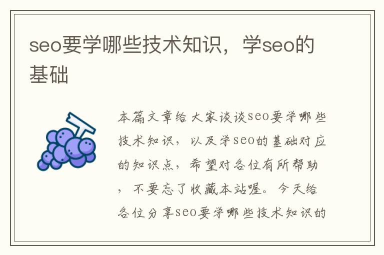 seo要学哪些技术知识，学seo的基础