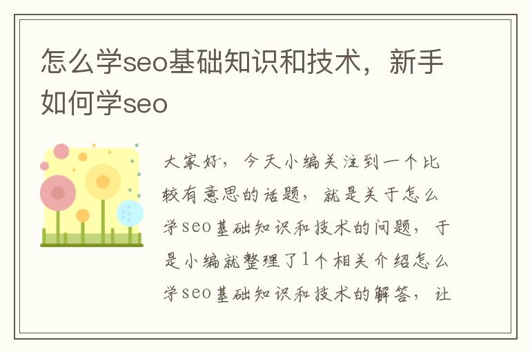 怎么学seo基础知识和技术，新手如何学seo