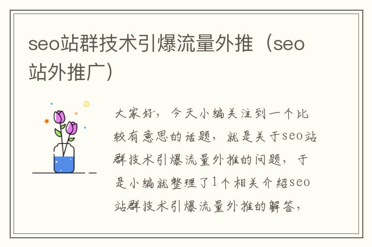 seo站群技术引爆流量外推（seo站外推广）