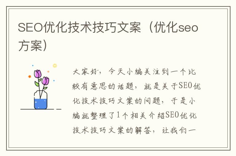 SEO优化技术技巧文案（优化seo方案）