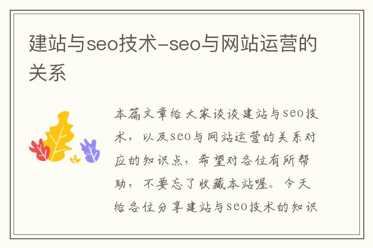 建站与seo技术-seo与网站运营的关系