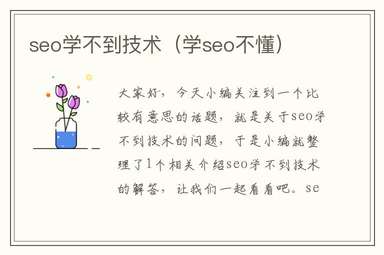 seo学不到技术（学seo不懂）