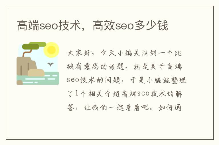 高端seo技术，高效seo多少钱