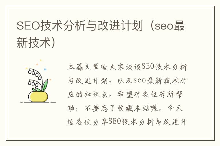 SEO技术分析与改进计划（seo最新技术）