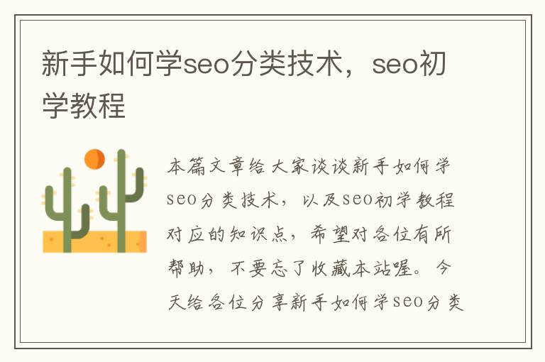 新手如何学seo分类技术，seo初学教程