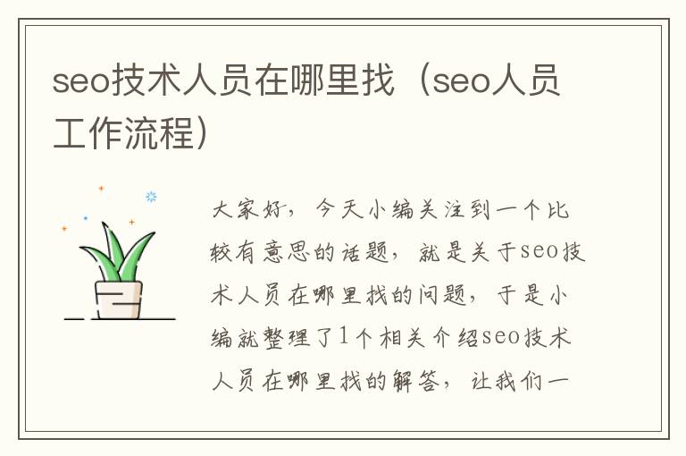 seo技术人员在哪里找（seo人员工作流程）