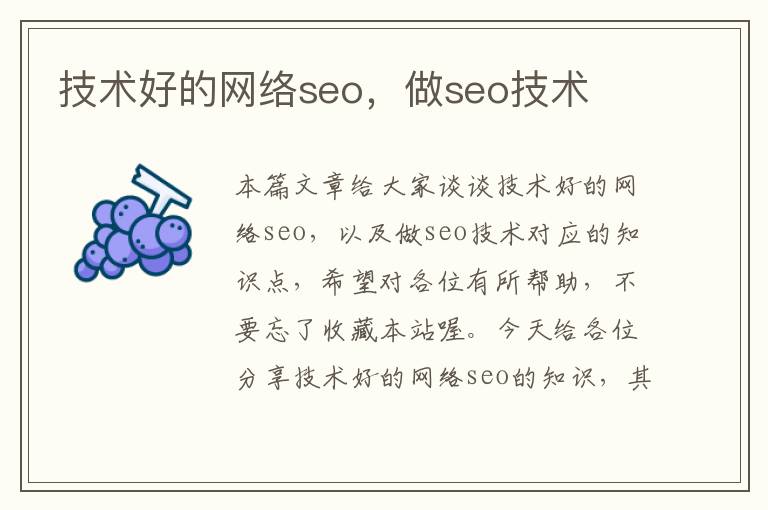 技术好的网络seo，做seo技术